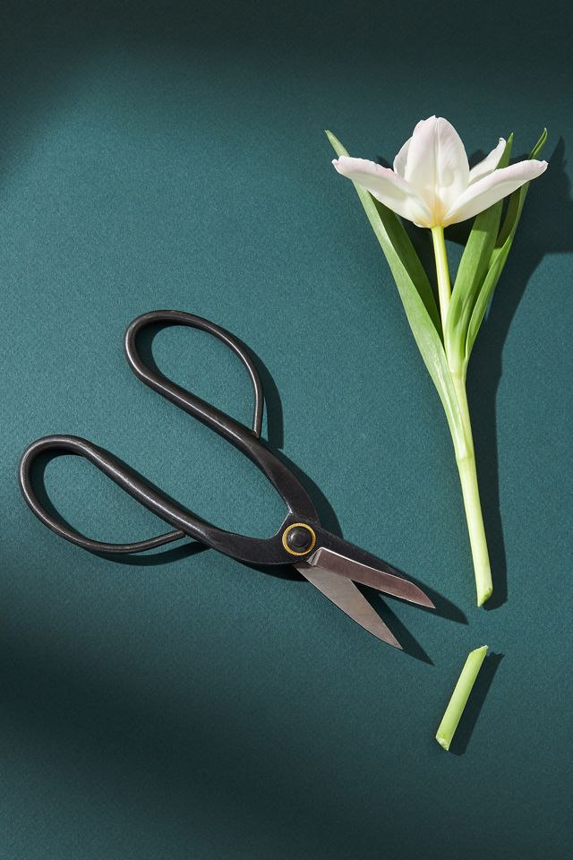 Steel Floral Scissors AnthroLiving