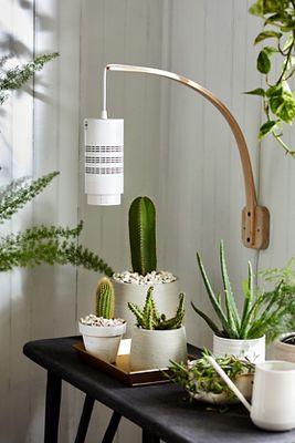 Pendant plant grow light sales