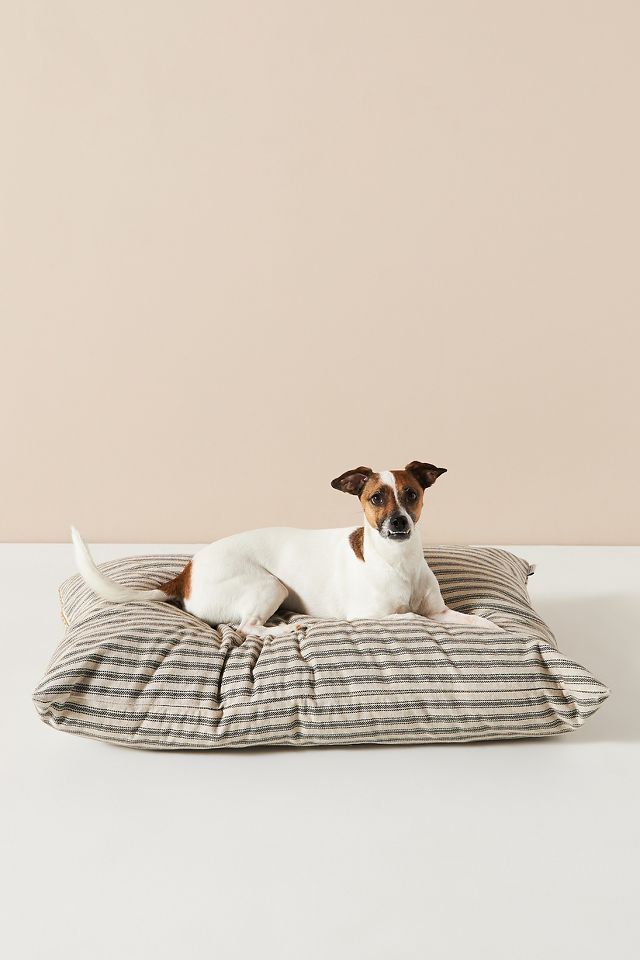 Anthropologie dog bed best sale