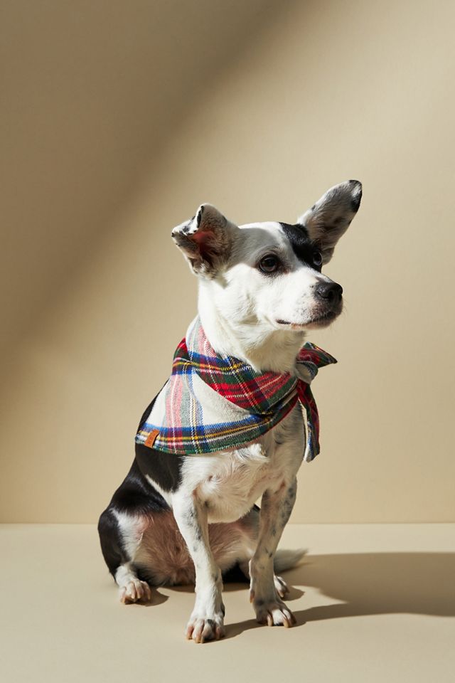 The Foggy Dog Flannel Plaid Bandana #1
