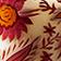 SANTAL BLUSH (FRESH FRUITY)