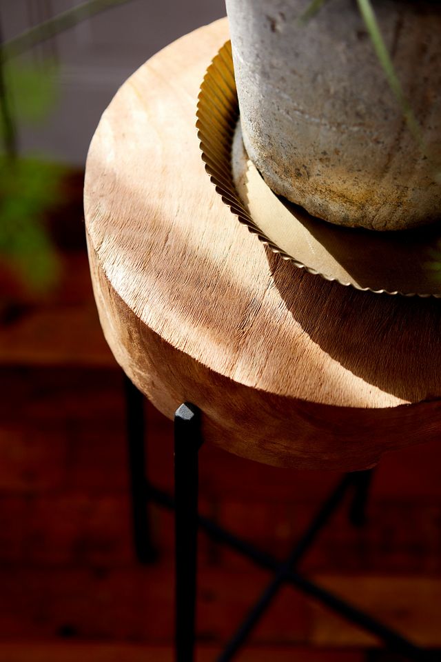 Teak Top + Iron Base Plant Stand #2
