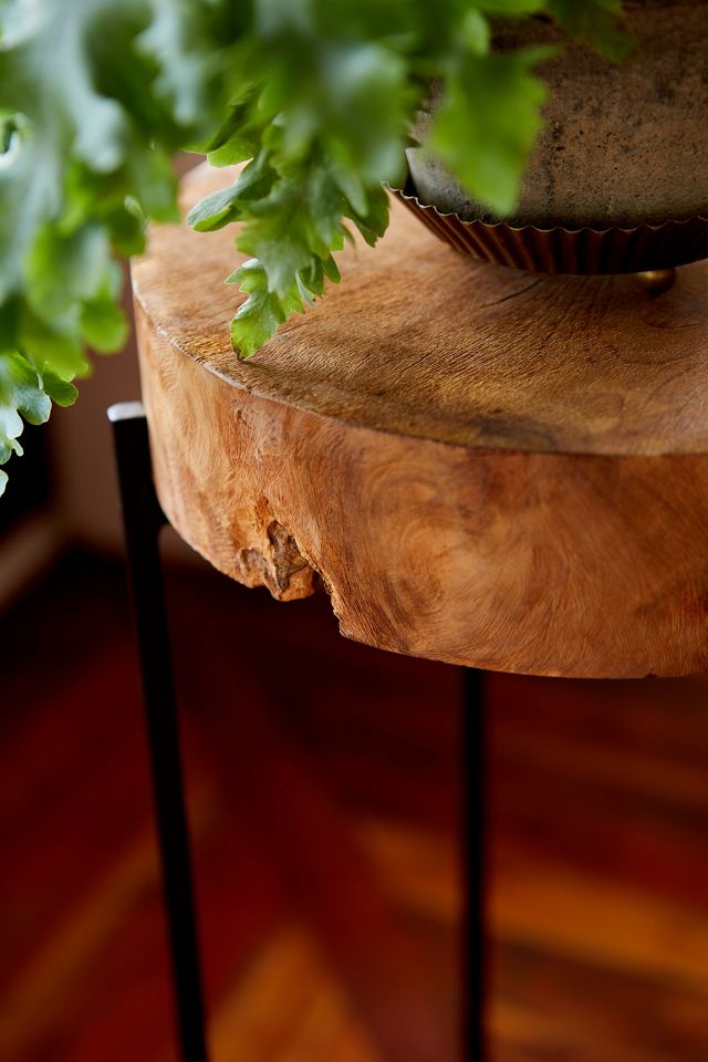 Teak Top + Iron Base Plant Stand #3