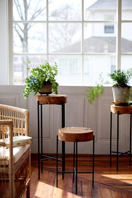 Teak Top + Iron Base Plant Stand