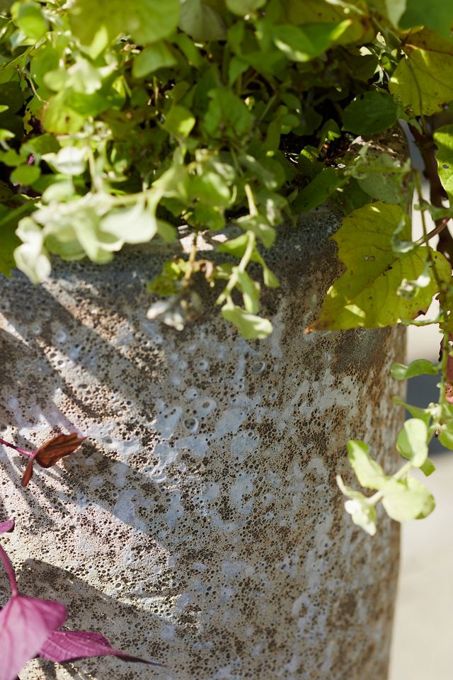 Barnacle Tall Modern Planter #1