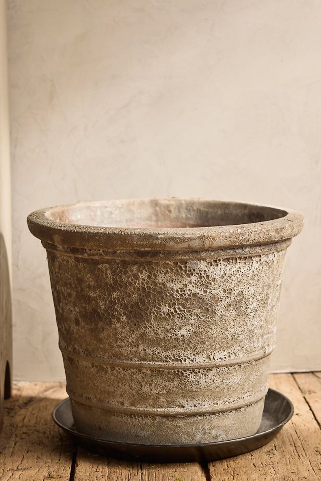 Barnacle Banded Taper Planter #2