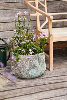 Barnacle Planter, Blue