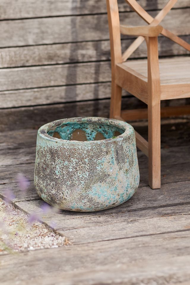 Barnacle Lucy Planter #2