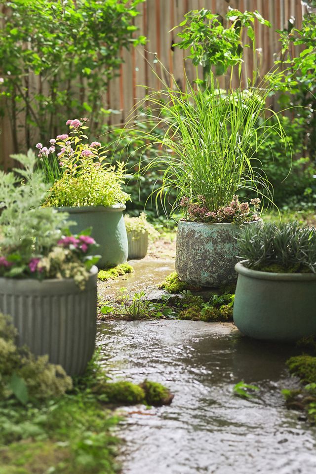 Barnacle Lucy Planter #3
