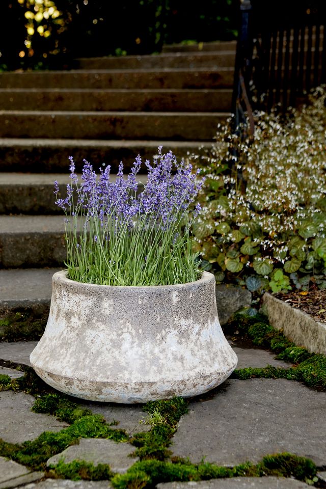 Bell Planter