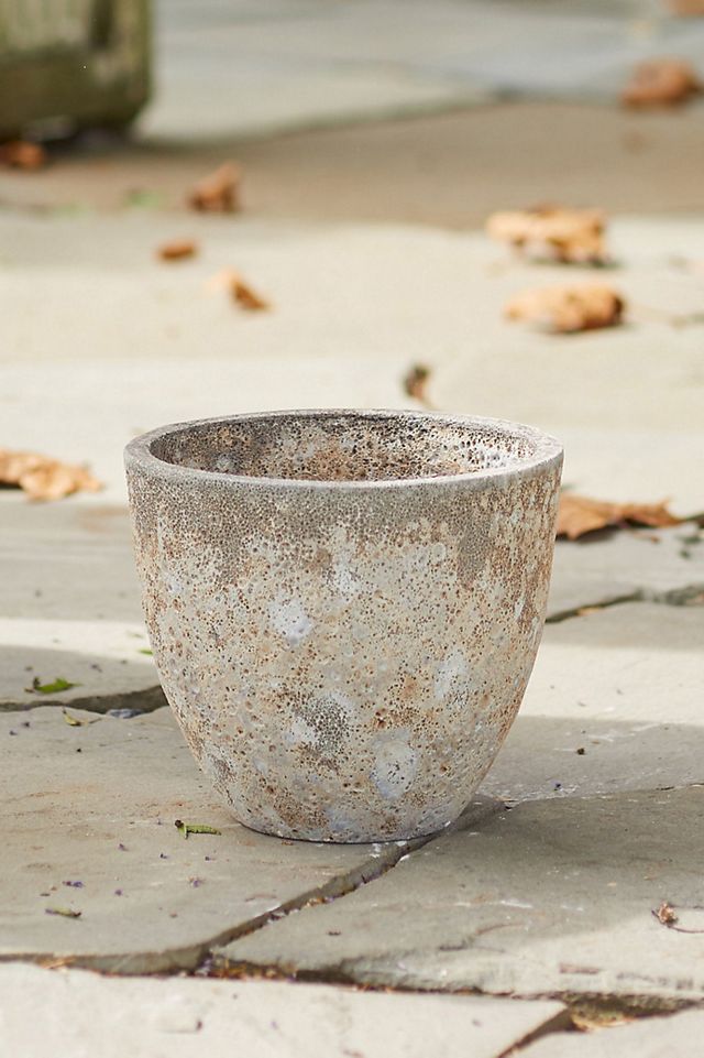 Barnacle Rounded Egg Planter #6