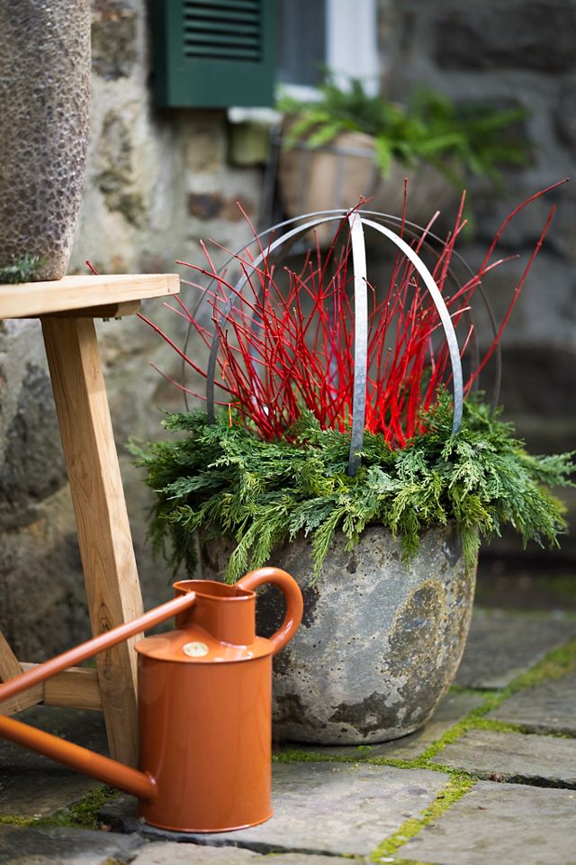 Barnacle Rounded Egg Planter #17