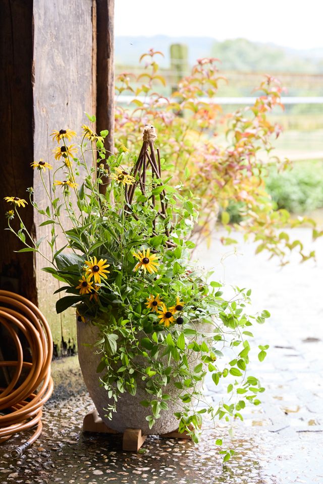 Barnacle Rounded Egg Planter #13