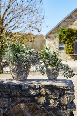 Barnacle Rounded Egg Planter