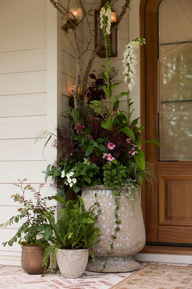 Barnacle Rounded Egg Planter #12