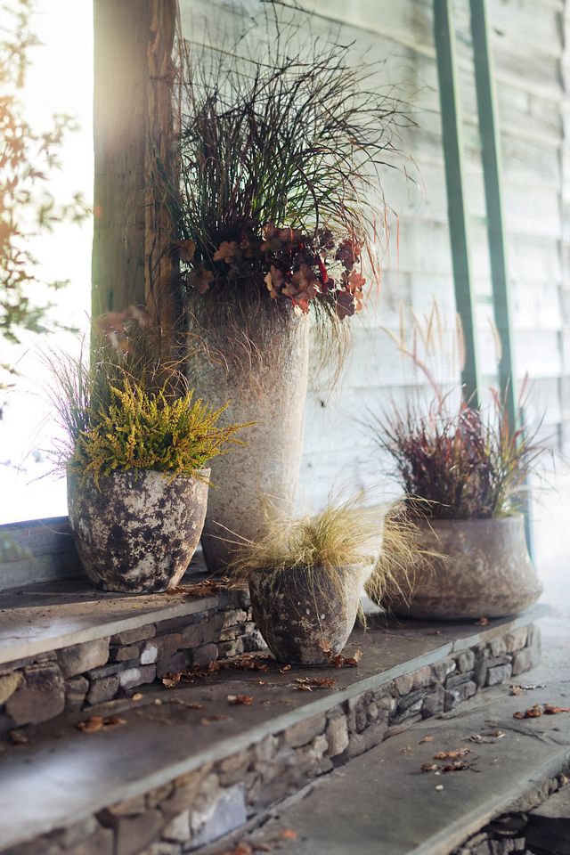 Barnacle Rounded Egg Planter #10