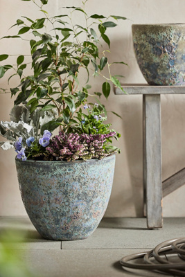 Terrain Barnacle Rounded Egg Planter