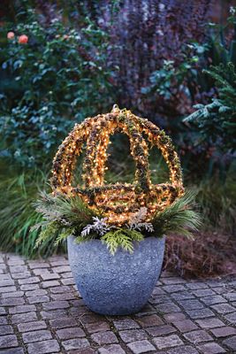 Barnacle Rounded Egg Planter