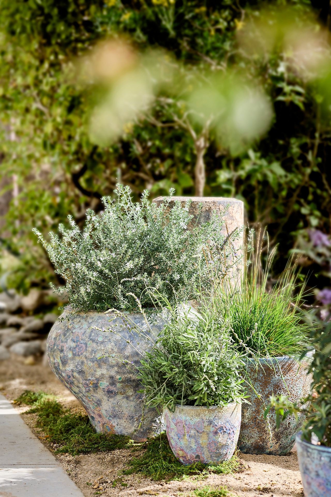 Barnacle Rounded Egg Planter