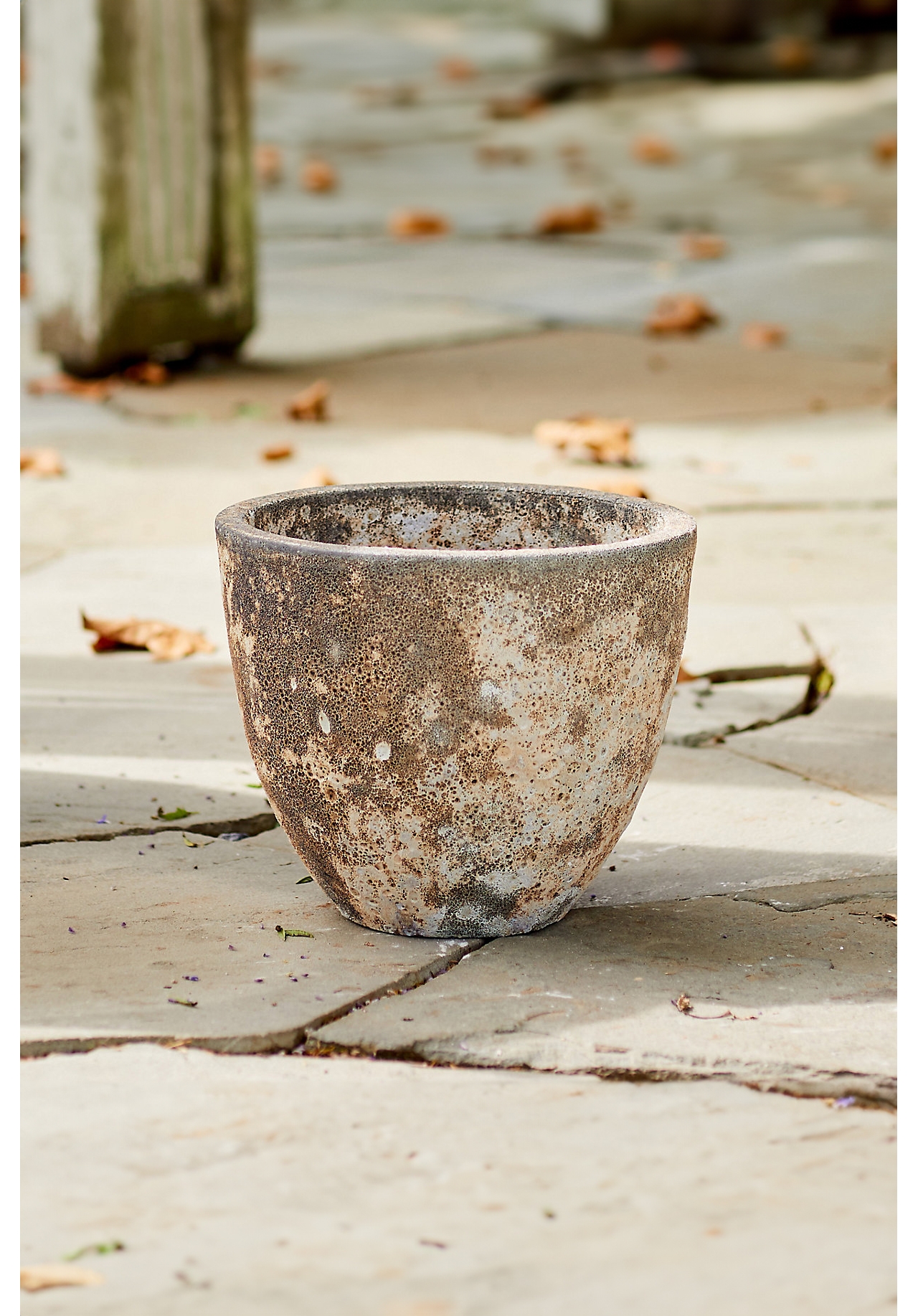 Barnacle Rounded Egg Planter