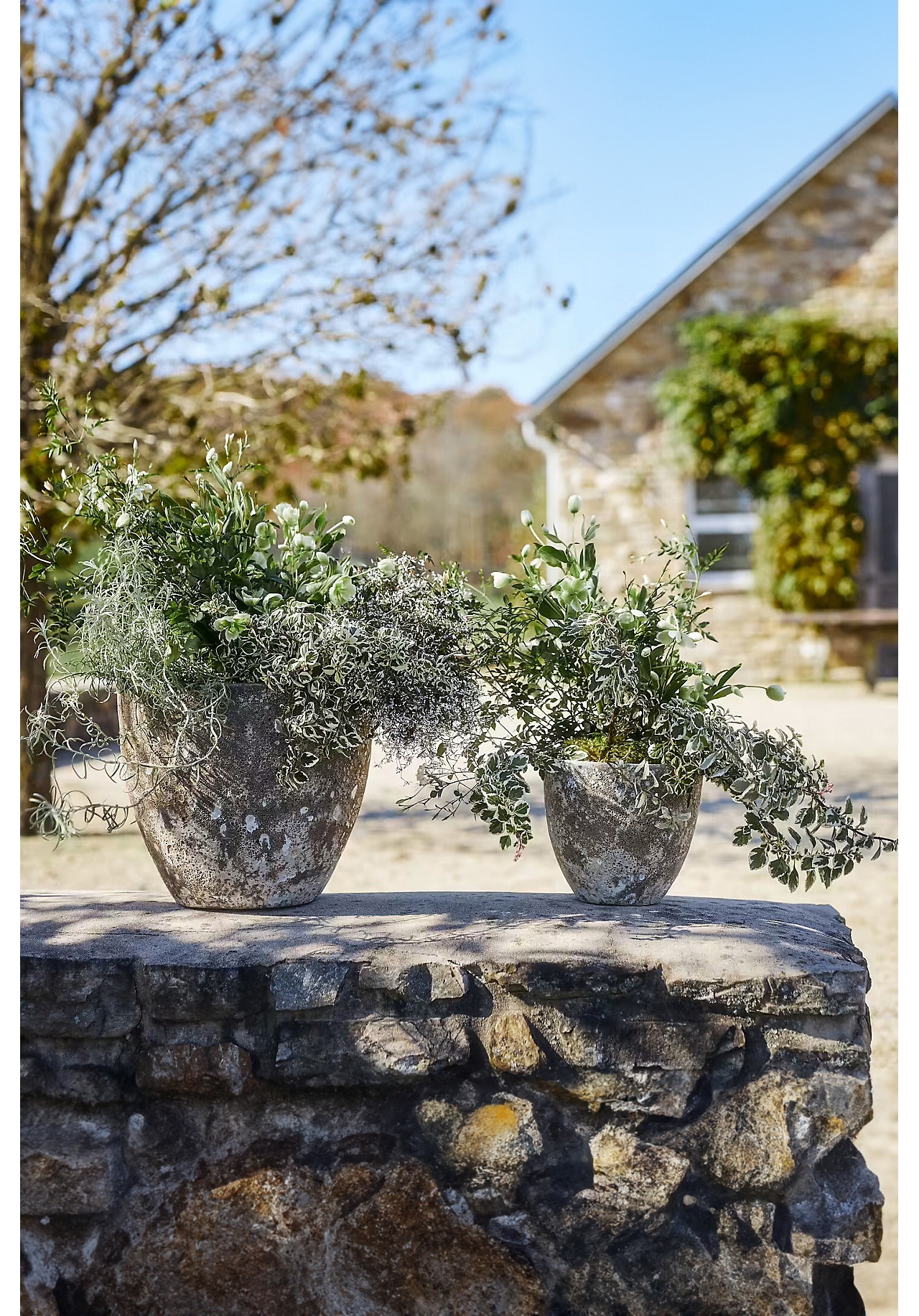 Barnacle Rounded Egg Planter