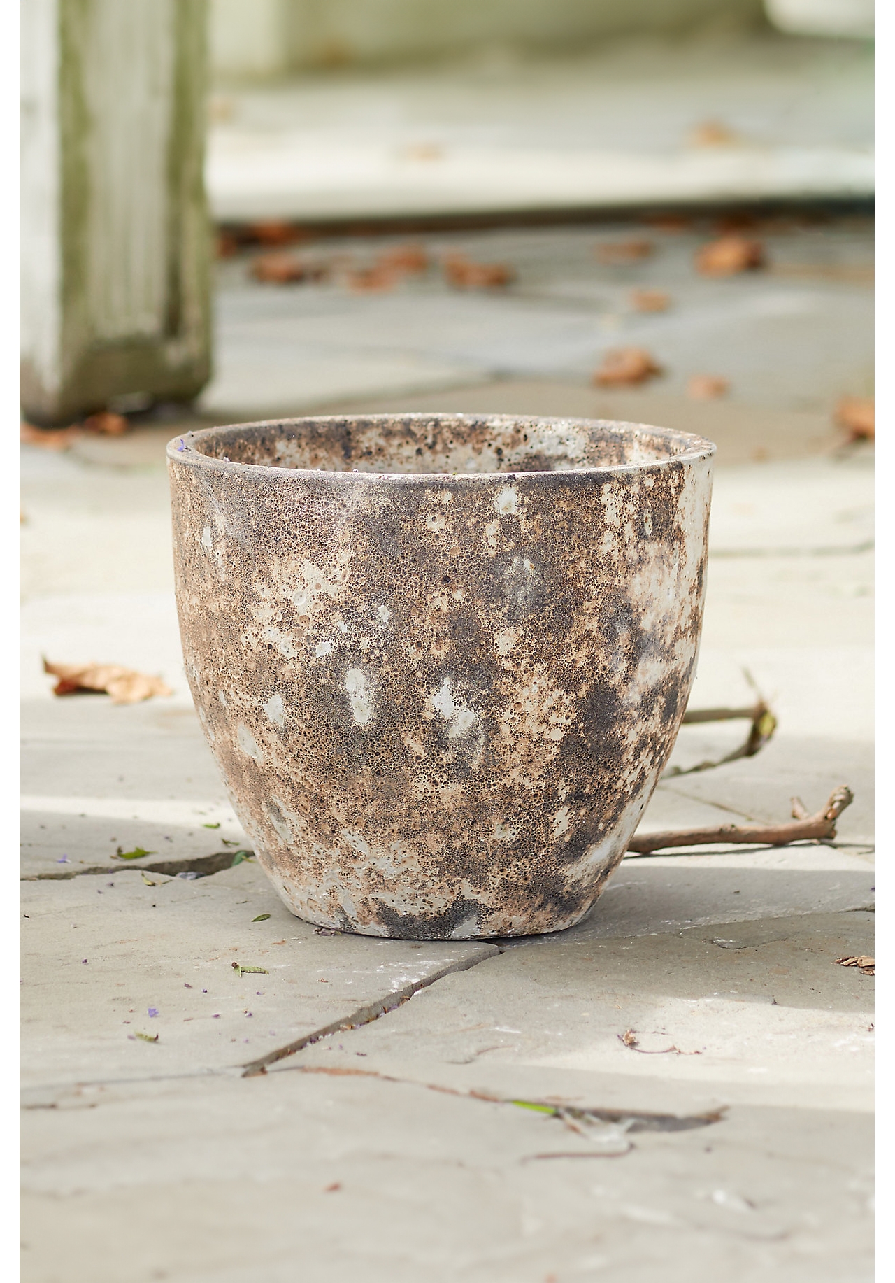 Barnacle Rounded Egg Planter