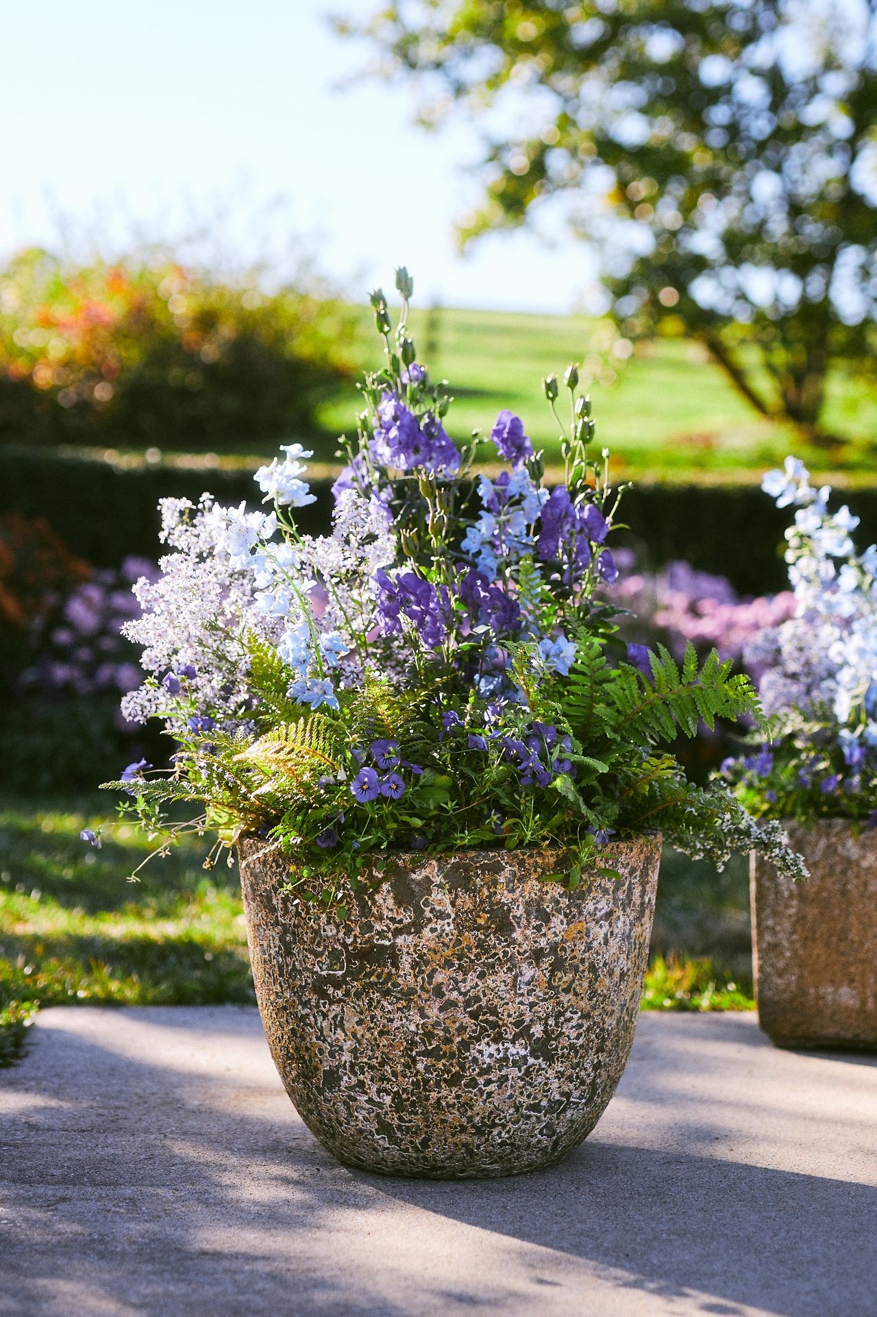 Barnacle Rounded Egg Planter