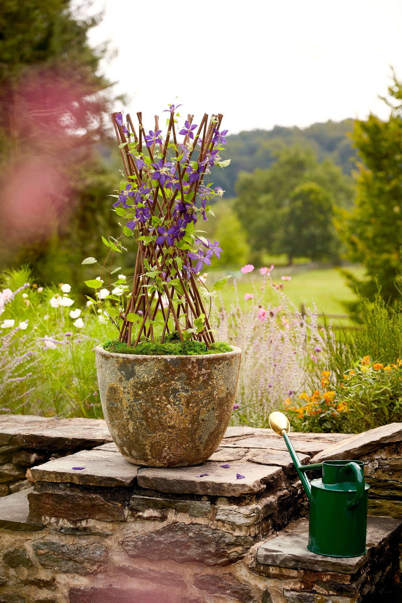 Barnacle Rounded Egg Planter