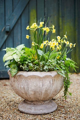 Terrain Seashore Urn