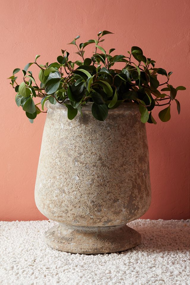 Barnacle Tall Urn #4