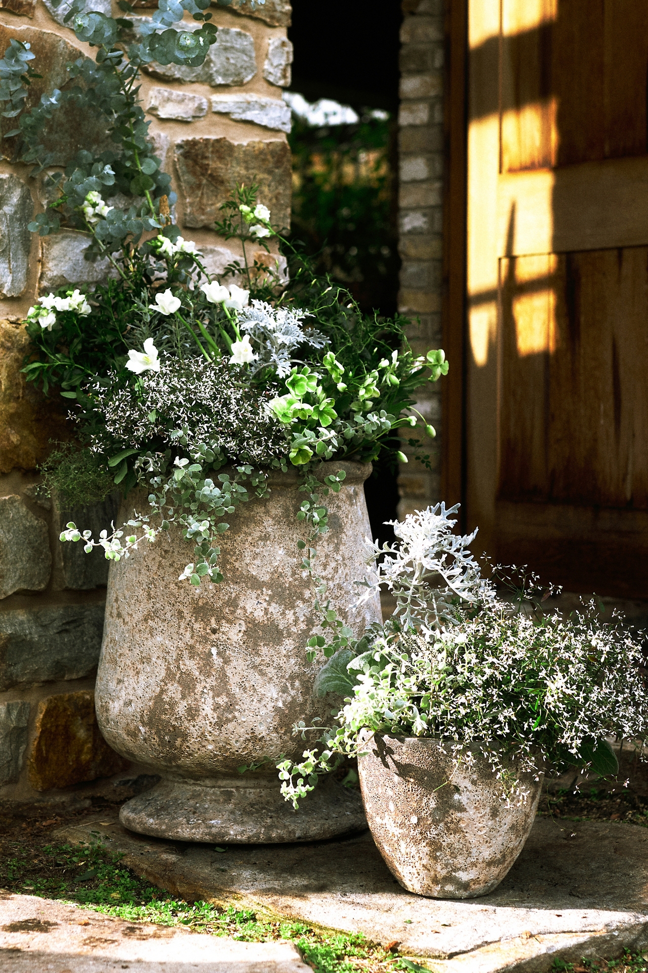 Barnacle Urn