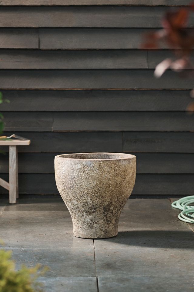 Barnacle Tulip Planter, 20" #1
