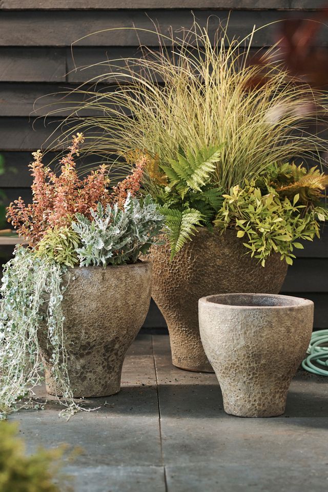 Barnacle Tulip Planter, 20" #2