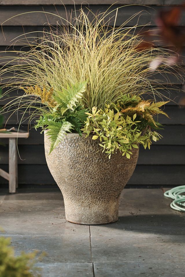 Barnacle Tulip Planter, 24" #1