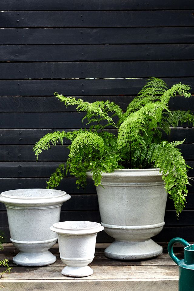 Aeros Ceramic Urn, 12"