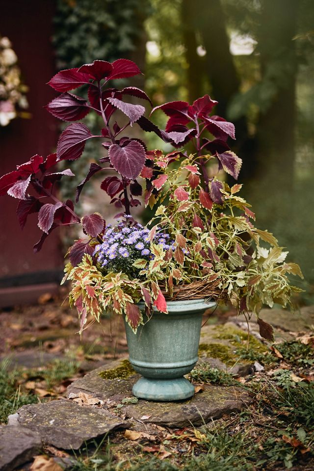 Aeros Ceramic Urn, 12" #5