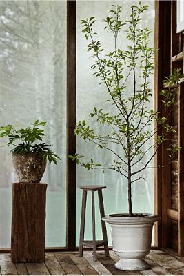 u r n❁ light-aged-white-mpg-urn-