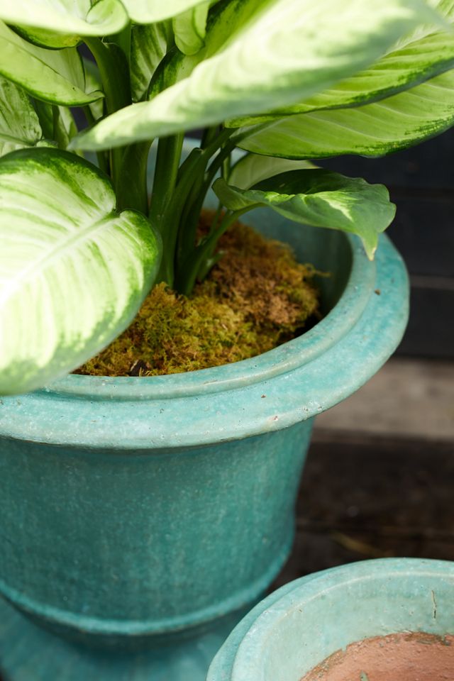 Aeros Ceramic Urn, 23" #1