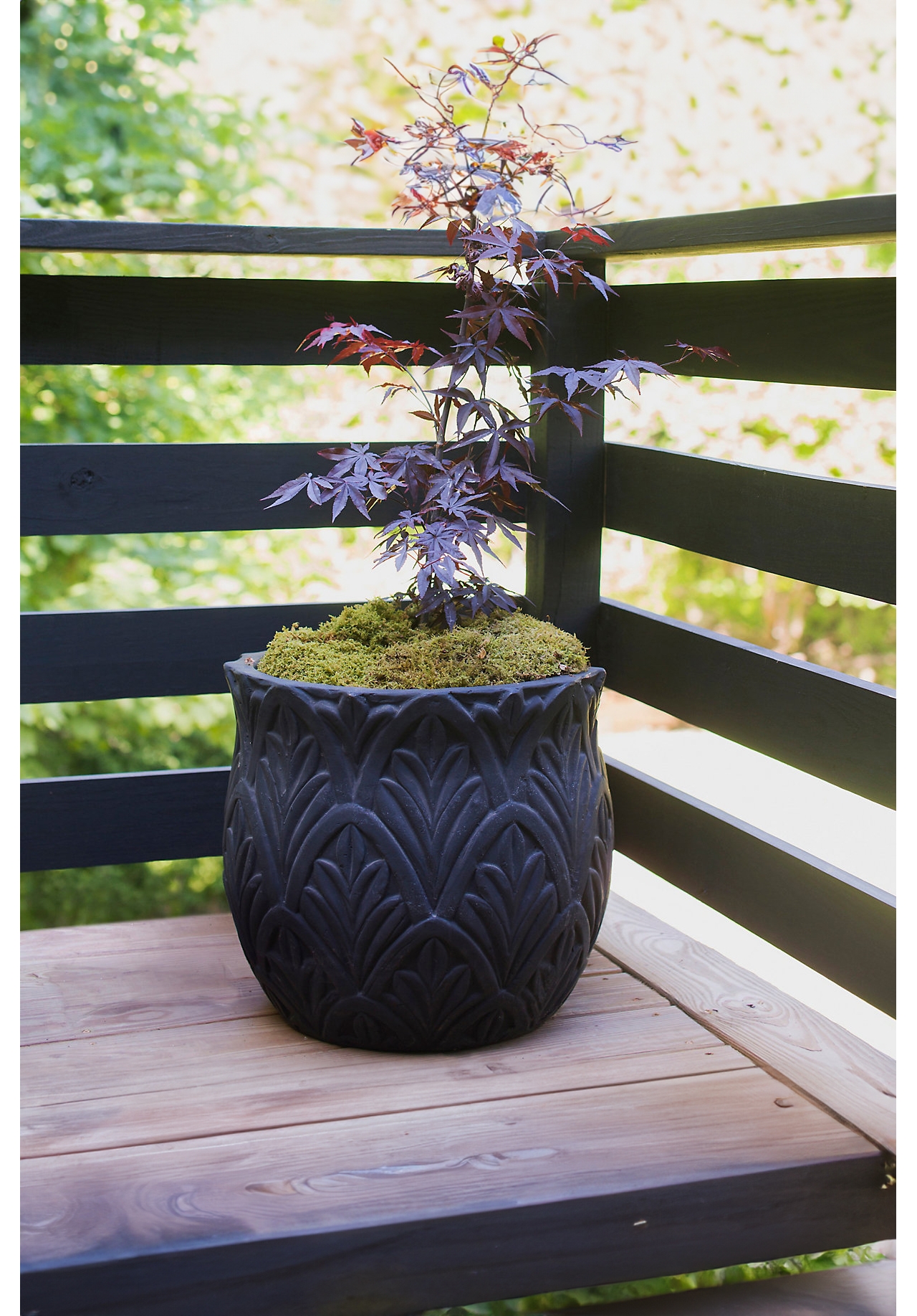 Paloma Ceramic Planter