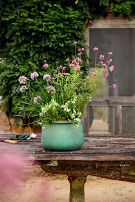 Roll Top Low Ceramic Planter, 13"