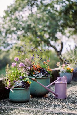 Roll Top Low Ceramic Planter, 13"