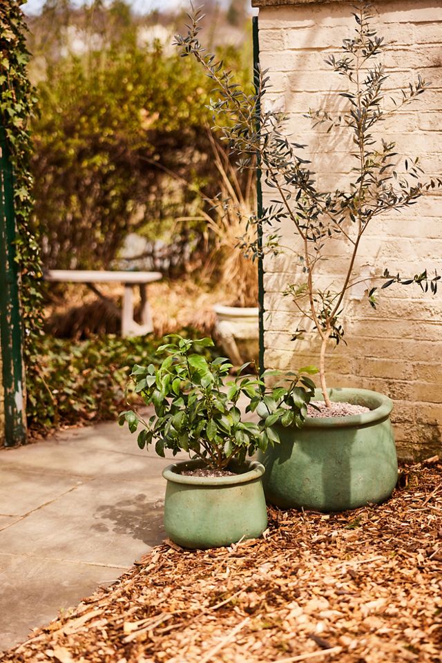 Roll Top Low Ceramic Planter, 13" #5