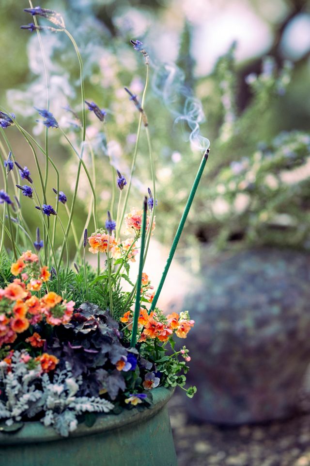 Roll Top Low Ceramic Planter, 19" #4
