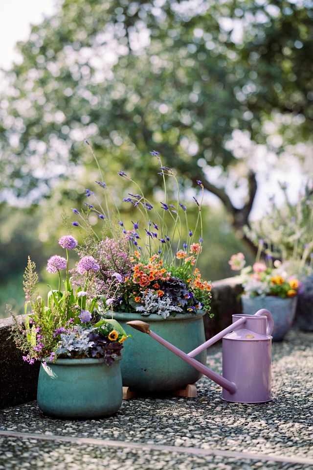 Roll Top Low Ceramic Planter, 19" #2