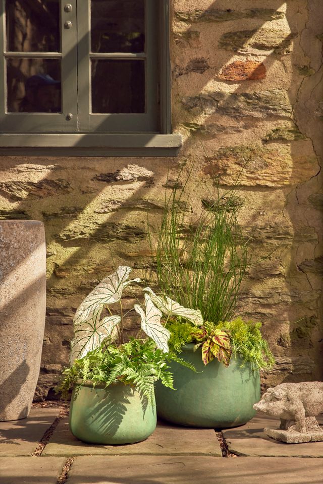 Roll Top Low Ceramic Planter, 19" #7