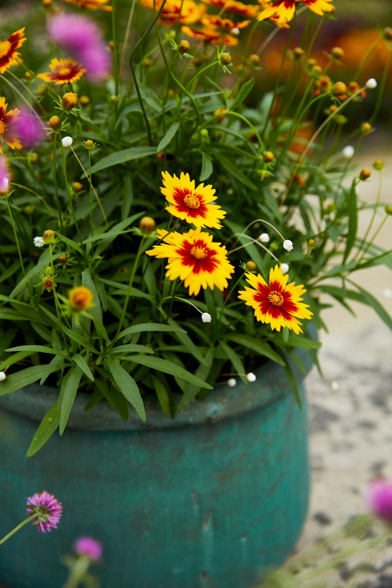 Roll Top Low Ceramic Planter