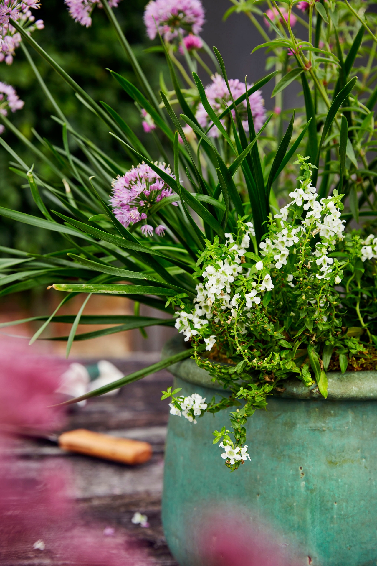 Roll Top Low Ceramic Planter