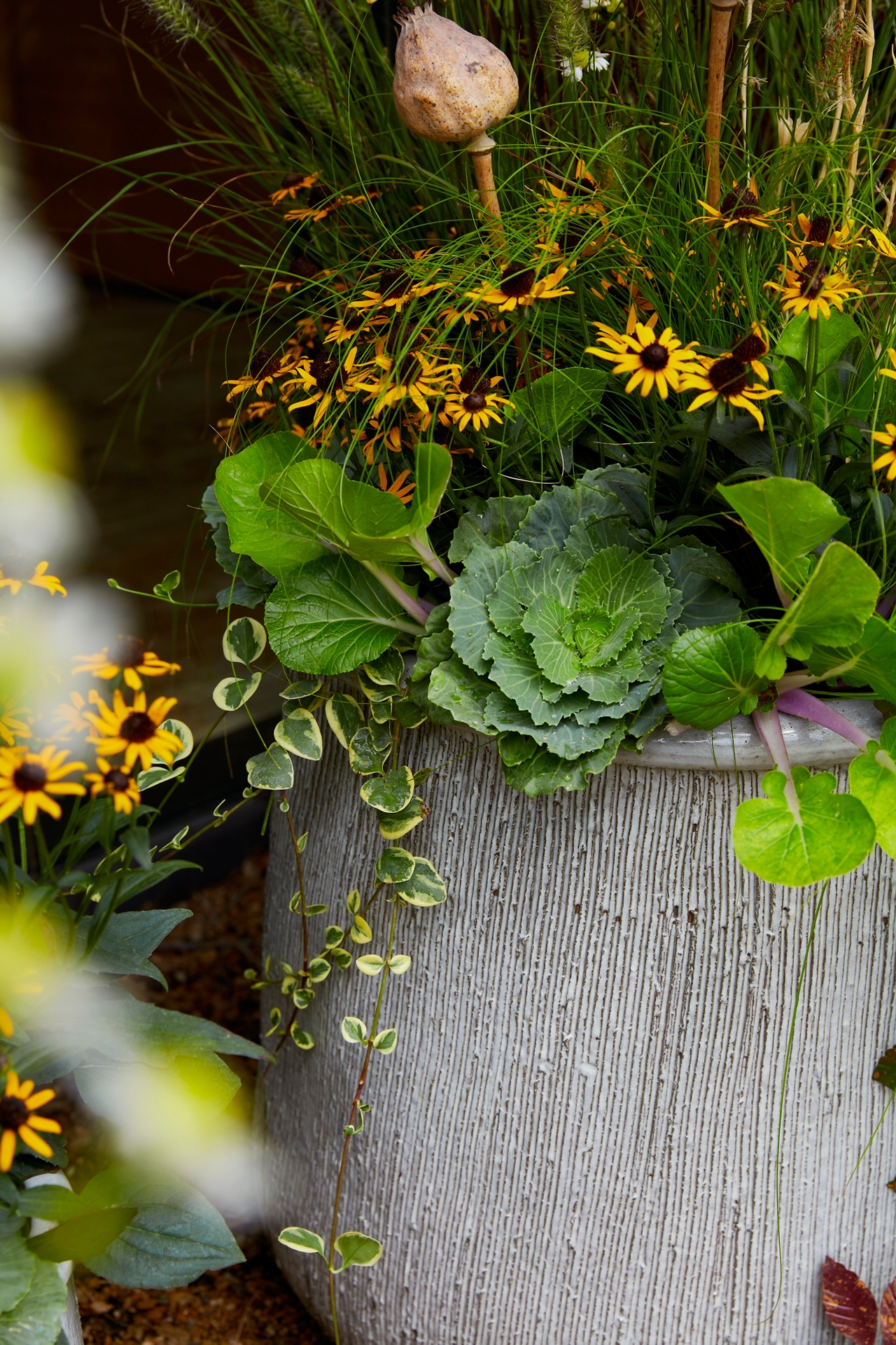 Roll Top Ceramic Planter