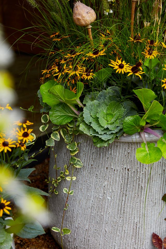 Roll Top Ceramic Planter, 19" #1