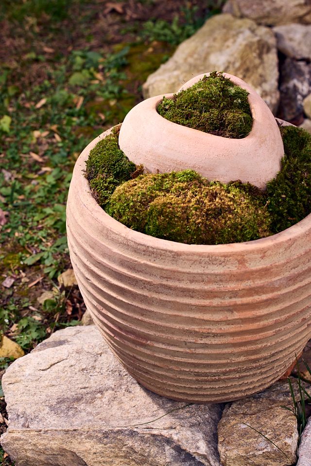 Antiqued Ring Ceramic Jar Planter, 11" #4